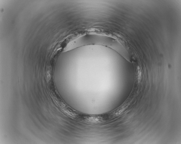 X0000053060566200508081157