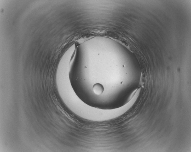 X0000053060568200508081157