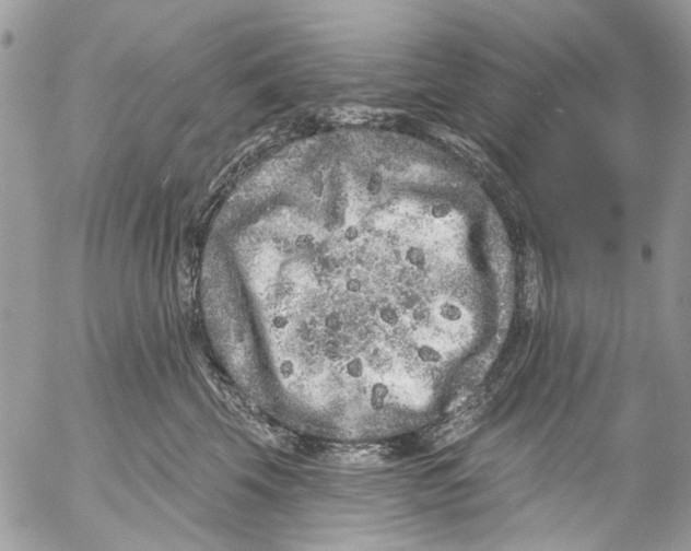 X0000053060569200508081157