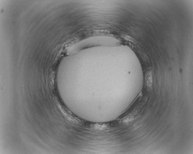 X0000053060570200508081157