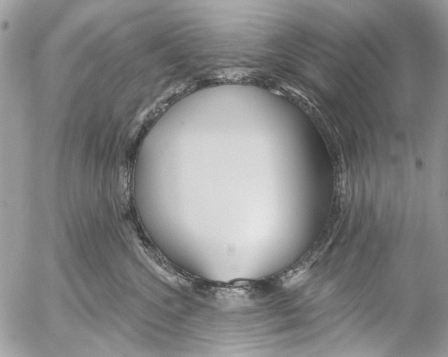 X0000053060572200508081157