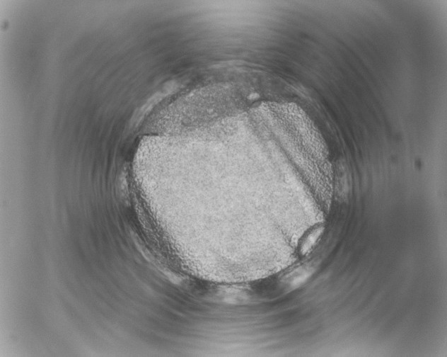 X0000053060573200508081157