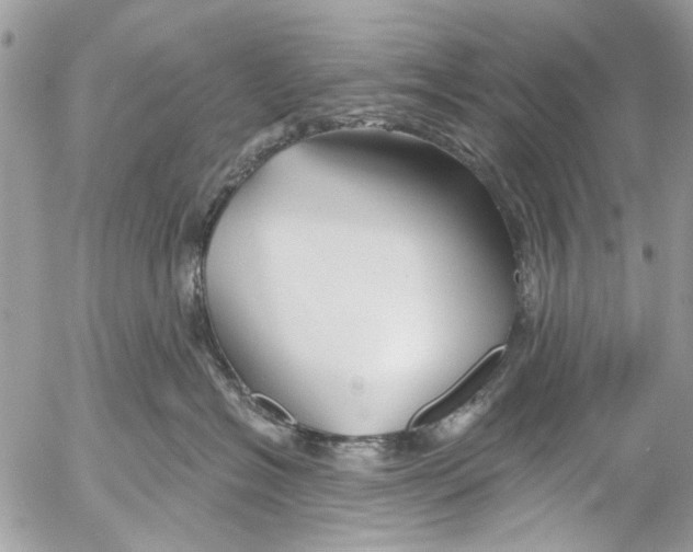 X0000053060574200508081157