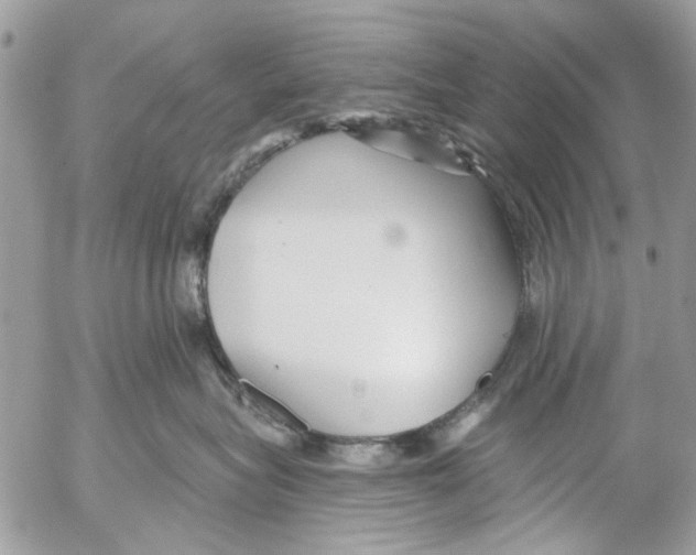 X0000053060575200508081157