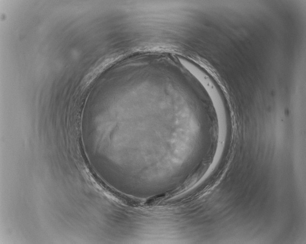 X0000053060577200508081156