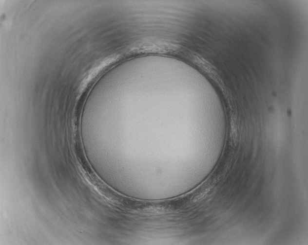 X0000053060578200508081156