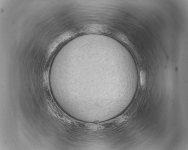 X0000053060579200508081156