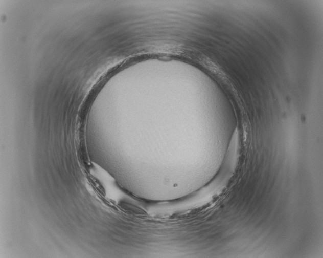 X0000053060580200508081156