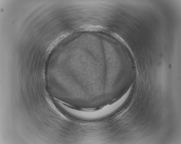 X0000053060581200508081156