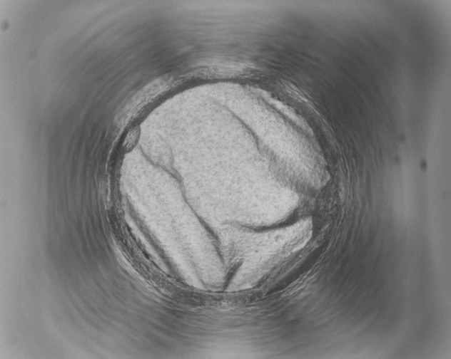 X0000053060582200508081156