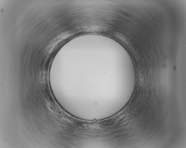 X0000053060583200508081156