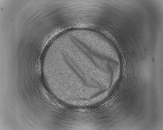 X0000053060584200508081156