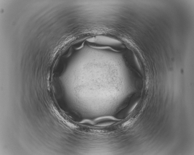 X0000053060585200508081156