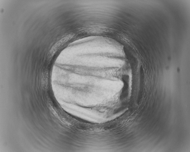 X0000053060586200508081156