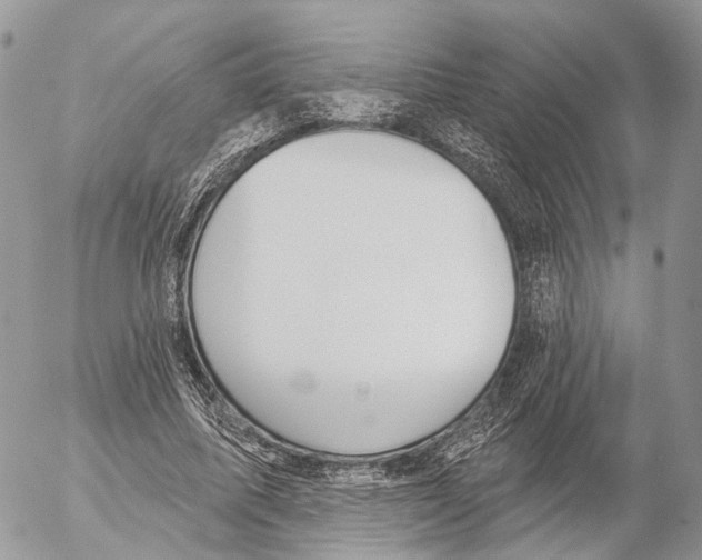 X0000053060587200508081156