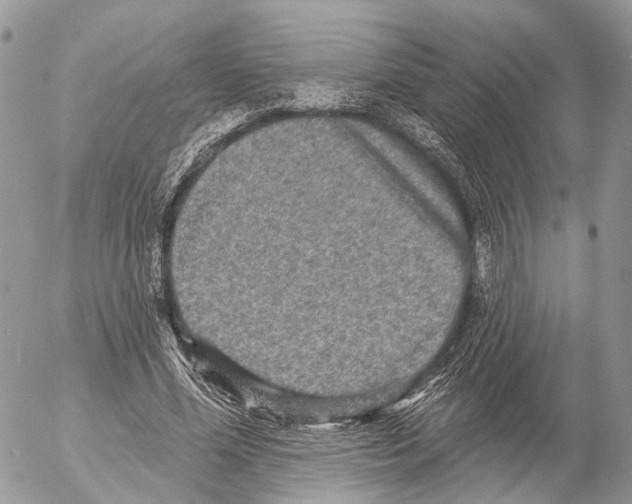 X0000053060588200508081156