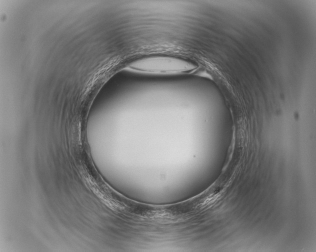 X0000053060589200508081156