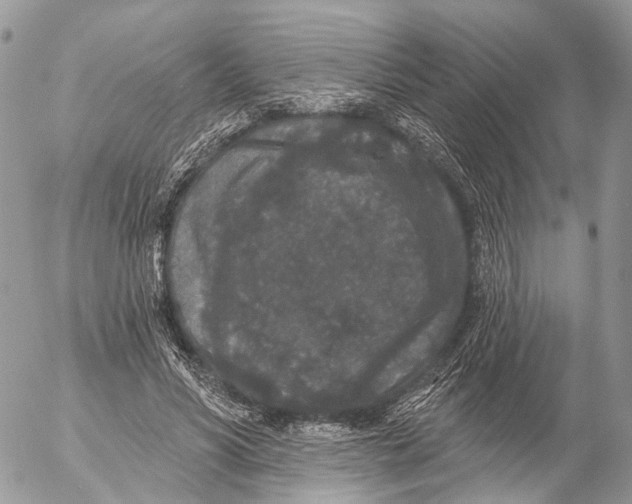 X0000053060590200508081156