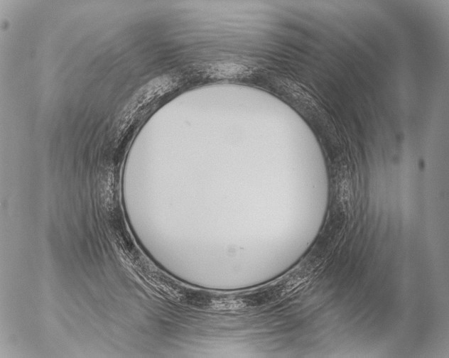 X0000053060591200508081156