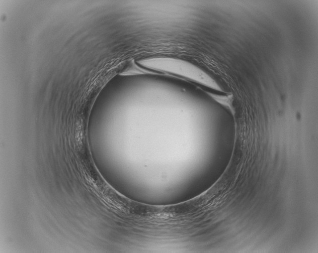 X0000053060593200508081156