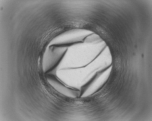 X0000053060594200508081156