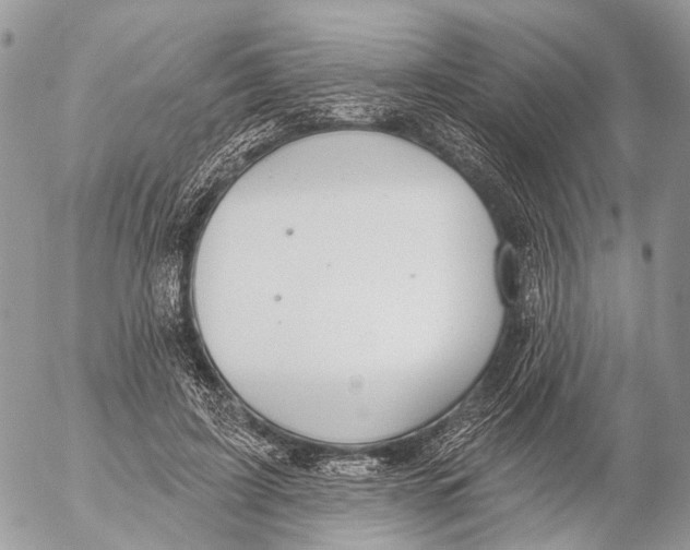 X0000053060595200508081156