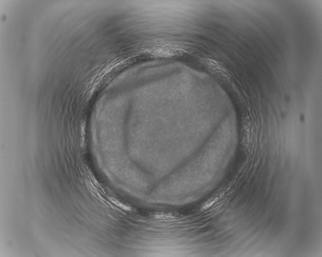 X0000053060596200508081156