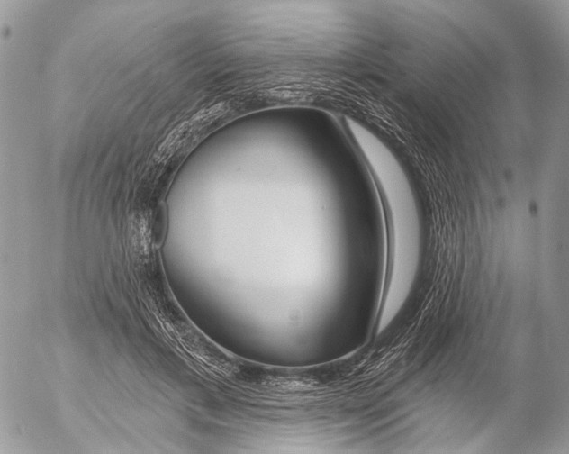 X0000053060597200508081156