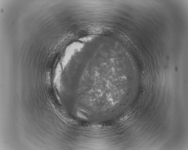 X0000053060598200508081156