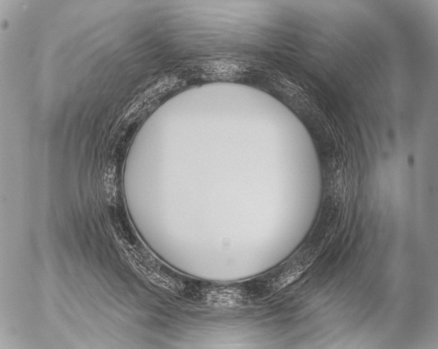 X0000053060599200508081156