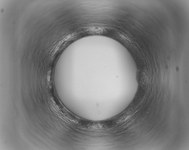 X0000053060600200508081156