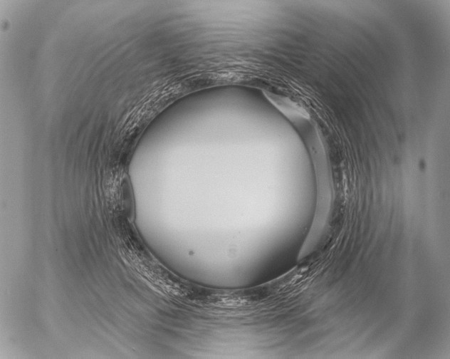 X0000053060601200508081156