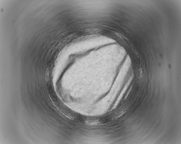 X0000053060602200508081156