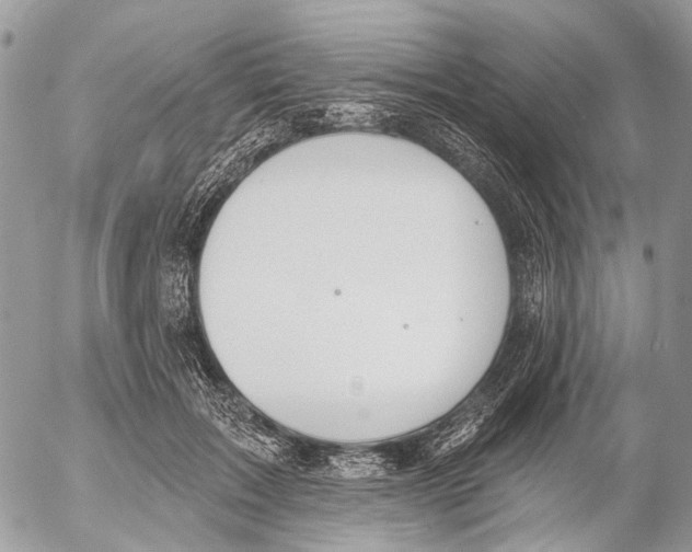 X0000053060603200508081156