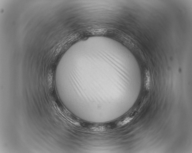 X0000053060604200508081156