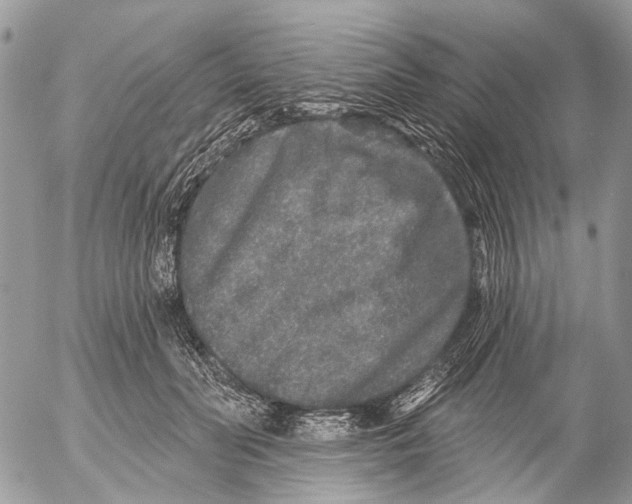 X0000053060606200508081156