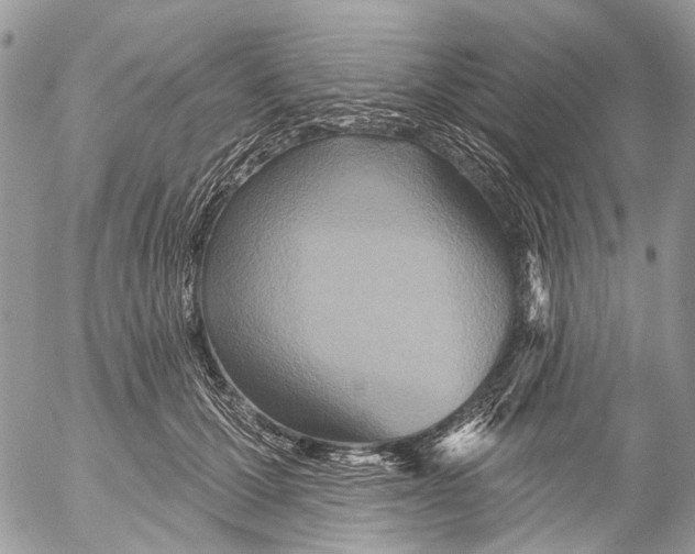 X0000053060607200508081156