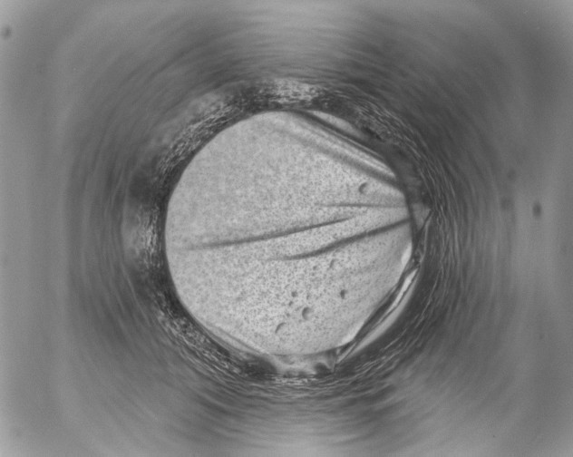 X0000053060608200508081156