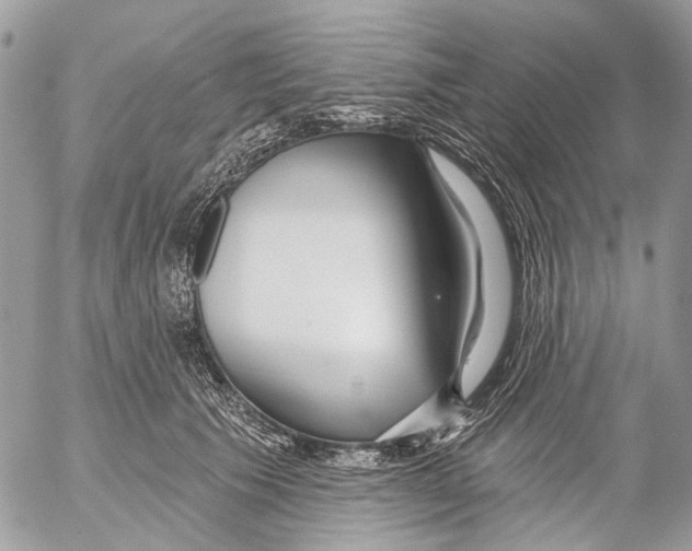 X0000053060609200508081156