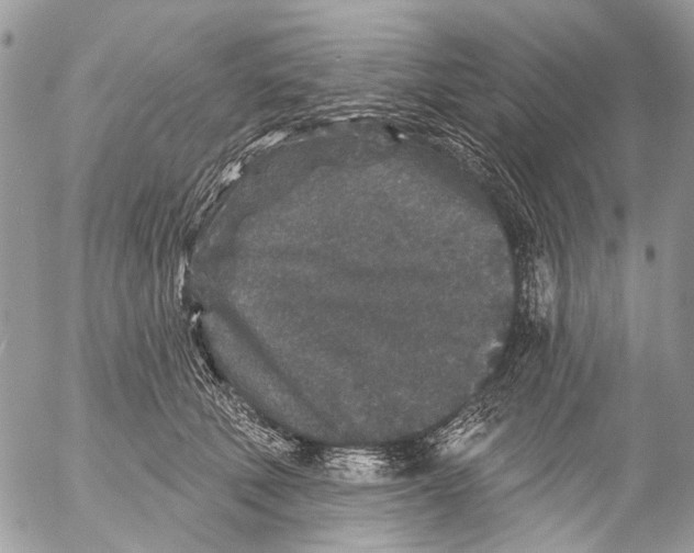 X0000053060610200508081156