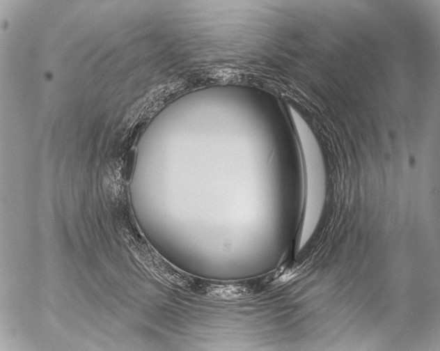 X0000053060611200508081156