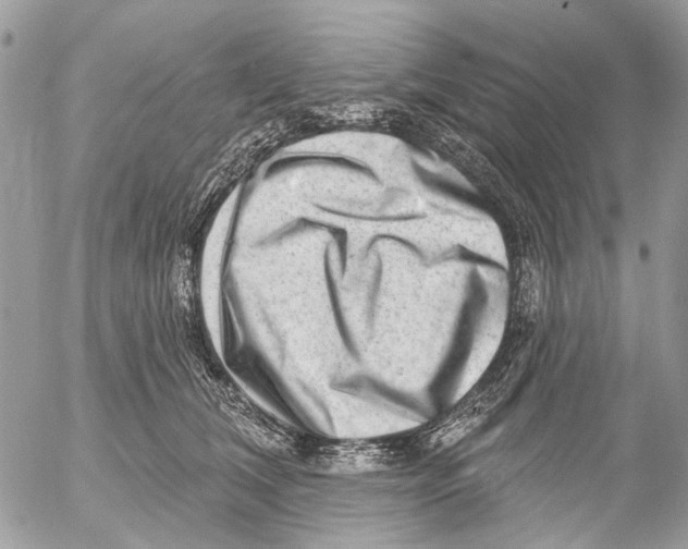 X0000053060612200508081156