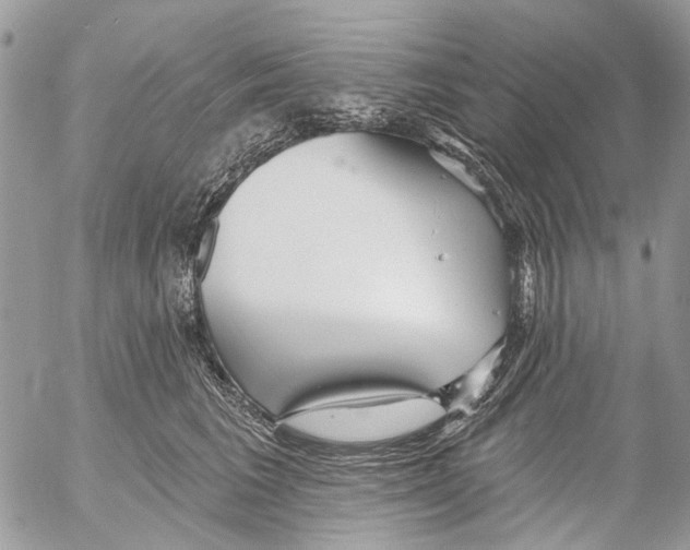 X0000053060613200508081156