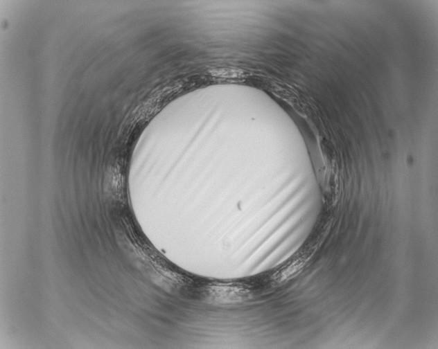 X0000053060614200508081156