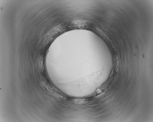 X0000053060615200508081156