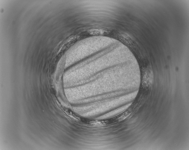 X0000053060616200508081156