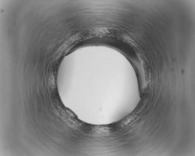 X0000053060617200508081155