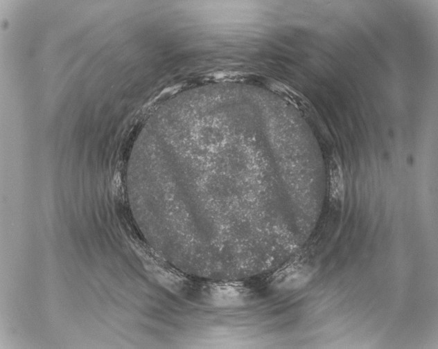 X0000053060618200508081155