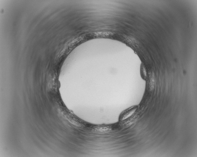 X0000053060619200508081155