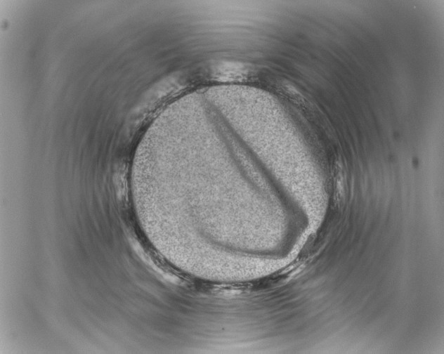 X0000053060620200508081155